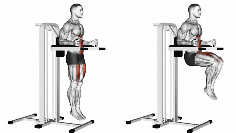 Best vertical knee raise machines for home