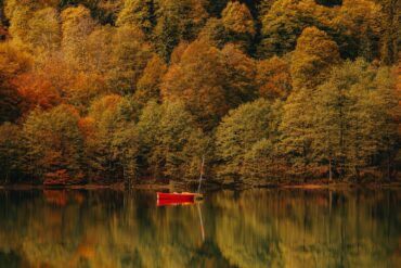 Seasonal mindfulness: Autumn is the season of letting go